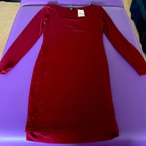 Large Burgundy IRIS Sleeve Mini Dress